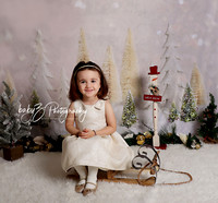 babyZ photography Queens Fresh Meadows New York photographer holiday christmas session IMG_9007 1W