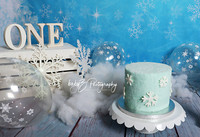 babyZ photography Fresh Meadows New York first birthday cake smash photographer  winter onederland IMG_9754 1W