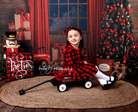 babyZ Photography Holiday Mini Sessions Queens Fresh Meadows New York photographer IMG_5060 1sW