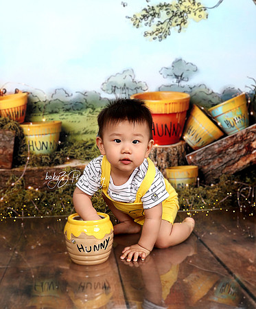babyZ Photography  Queens Fresh Meadows New York birthday cake smash photographer IMG_7203 1W