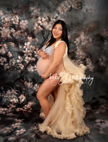 babyZ Photography Manhasset New York maternity photographer  IMG_4835 1W