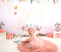 babyZ Photography New York birthday photographer IMG_4370 1aL W